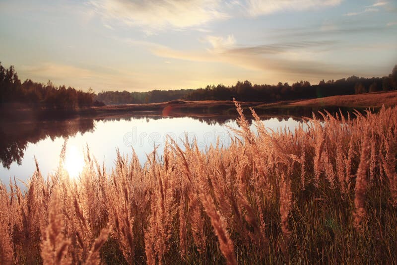 Landscape lake stock image. Image of beauty, fishing - 56952007