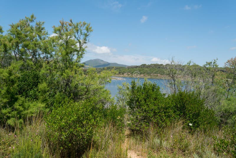 Landscape of Lake Baratz