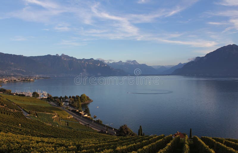 Landscape Lavaux