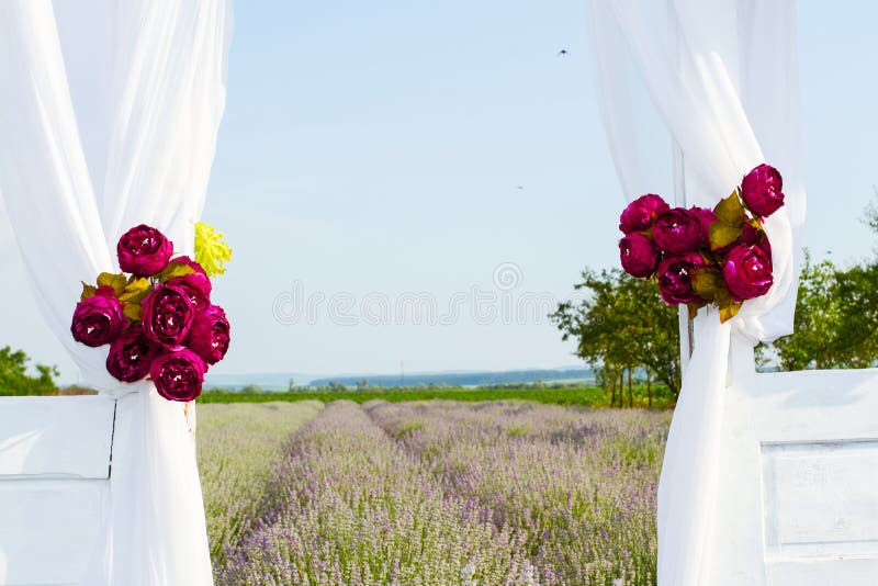 Guardando attraverso la porta di legno bianco per il campo di lavanda.