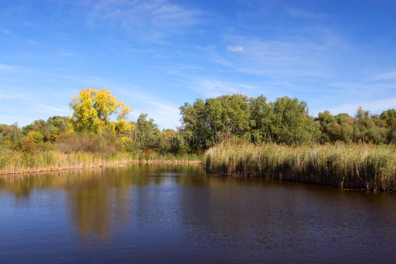 Landscape - little lake