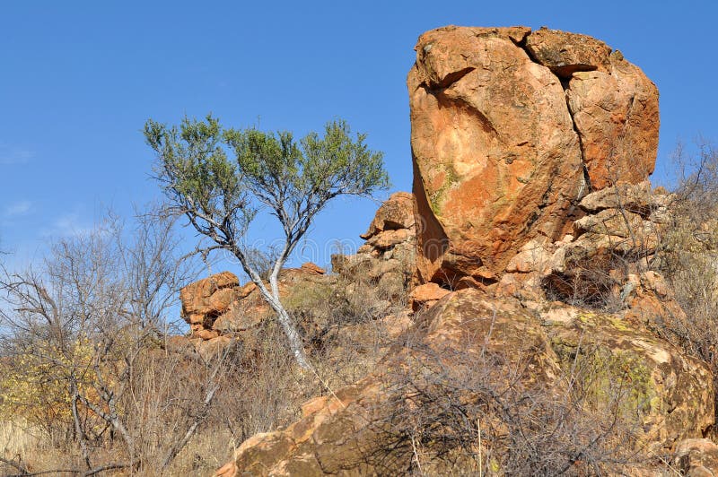 Landscape in Mapungubwe national park