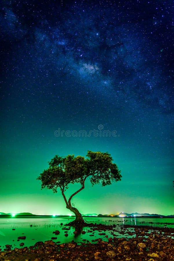 Landscape with Milky way galaxy. Night sky with stars and silhouette mangrove tree in sea. Long exposure photograph