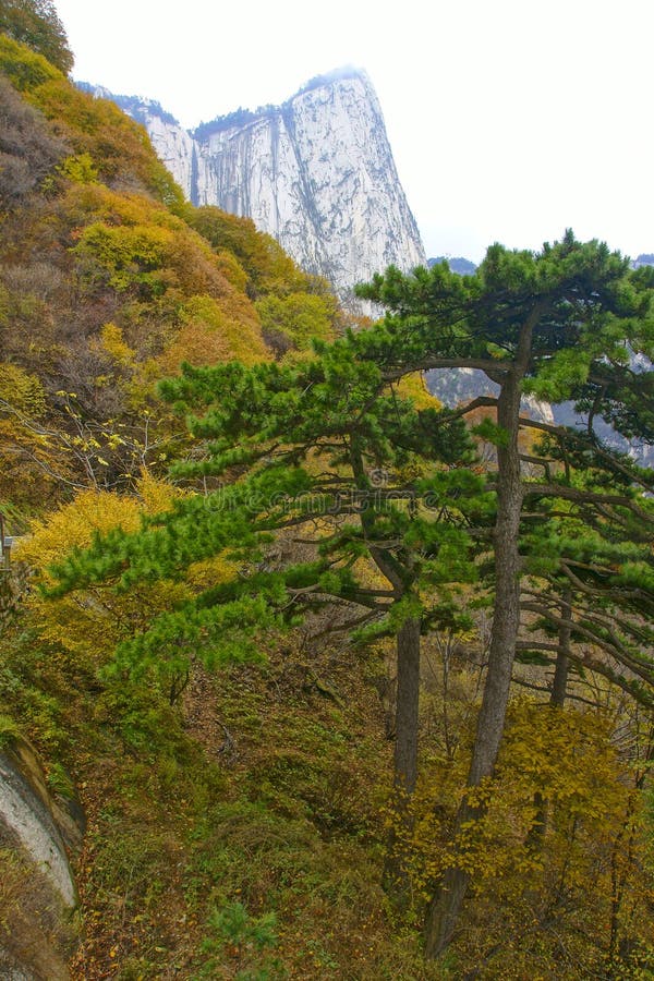 Landscape of Mount Hua