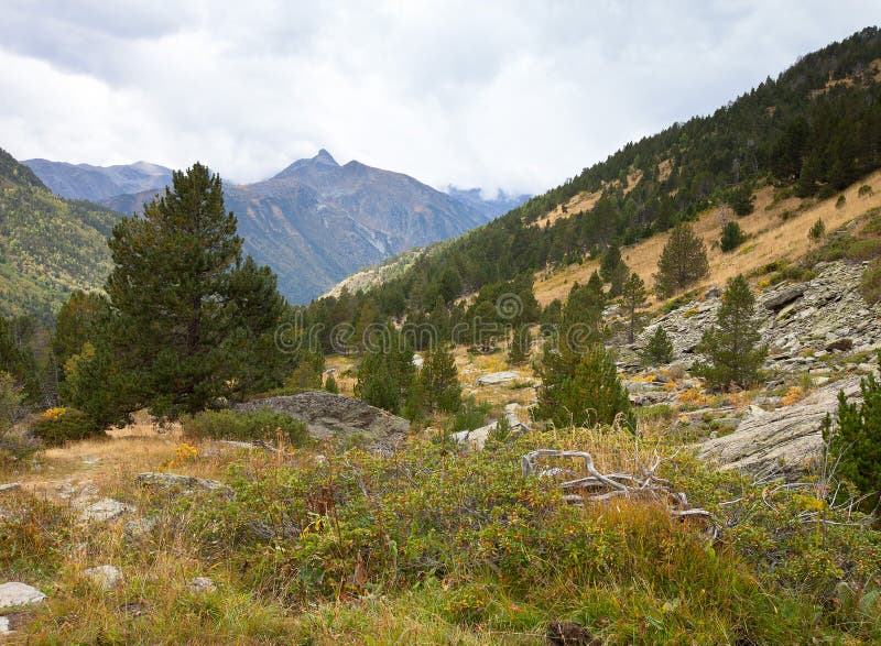 Landscape. Mountain, forest, clouds, dry grass