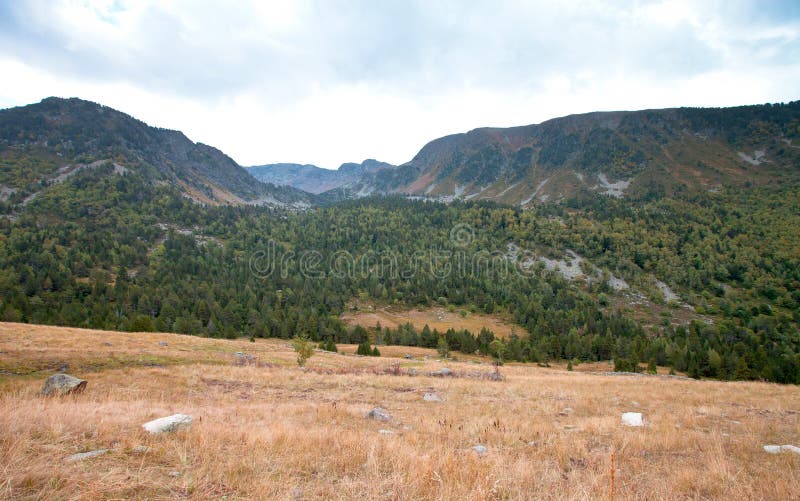 Landscape. Mountain, forest, clouds, dry grass