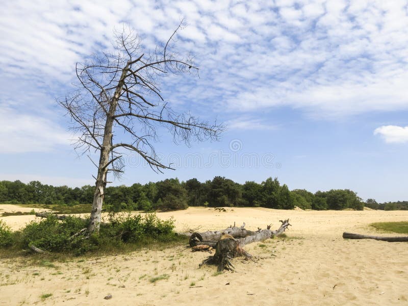 Landscape at Nationaal Park De Maasduinen