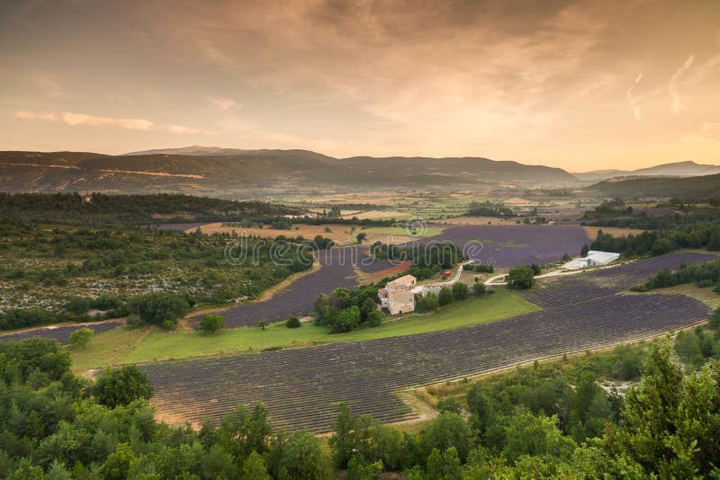 Sunrise near village Sault, Provence, France