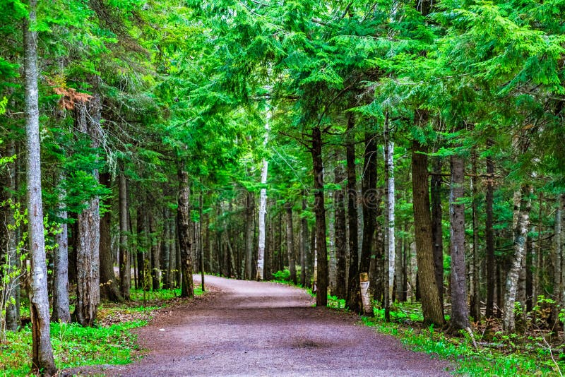 Landscape of New Brunswick, Canada Stock Image Image of province