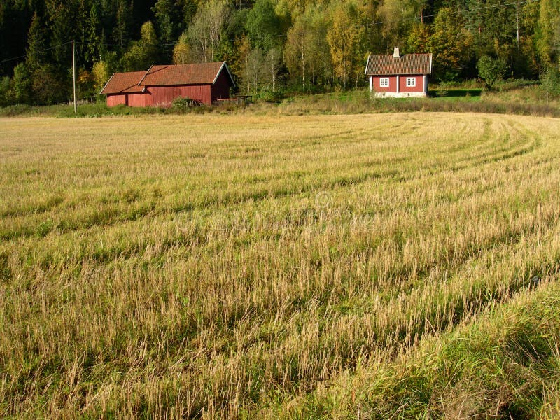 Landscape from Norway.