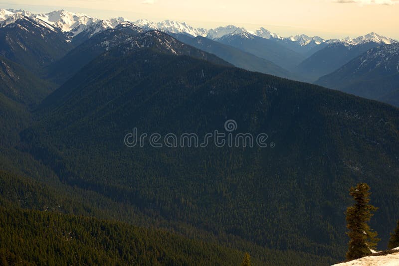 Ultrawide Landscape Olympic National Park Natures Wonders