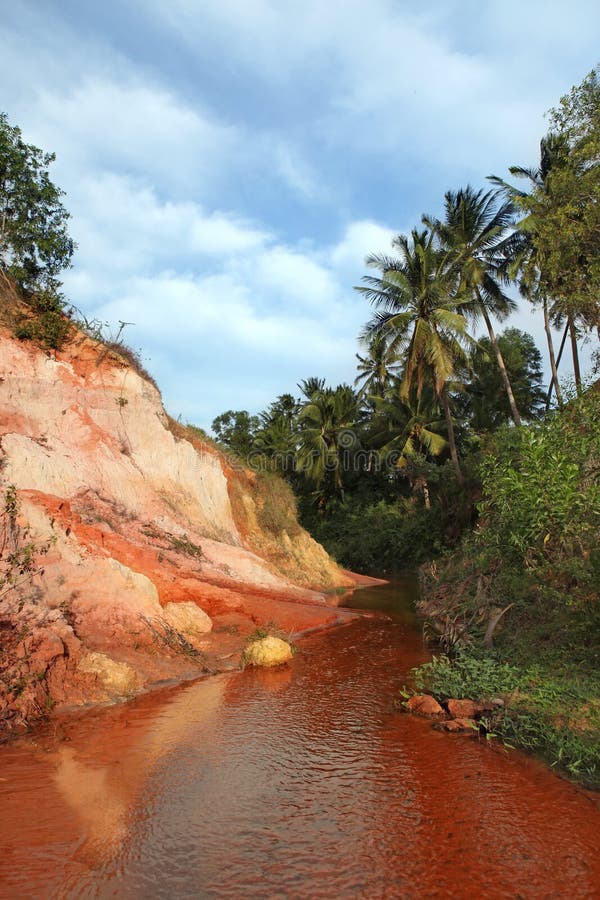 Landscape with palm tree and red river. Vietnam