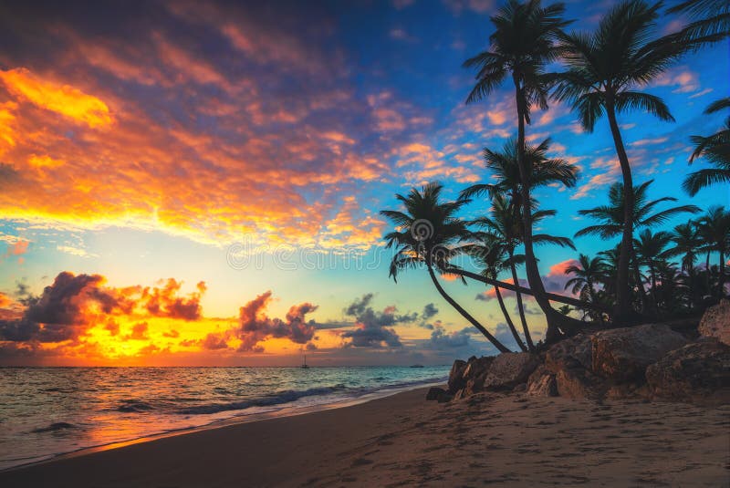 Landscape Of Paradise Tropical Island Beach Sunrise Shot Stock Photo