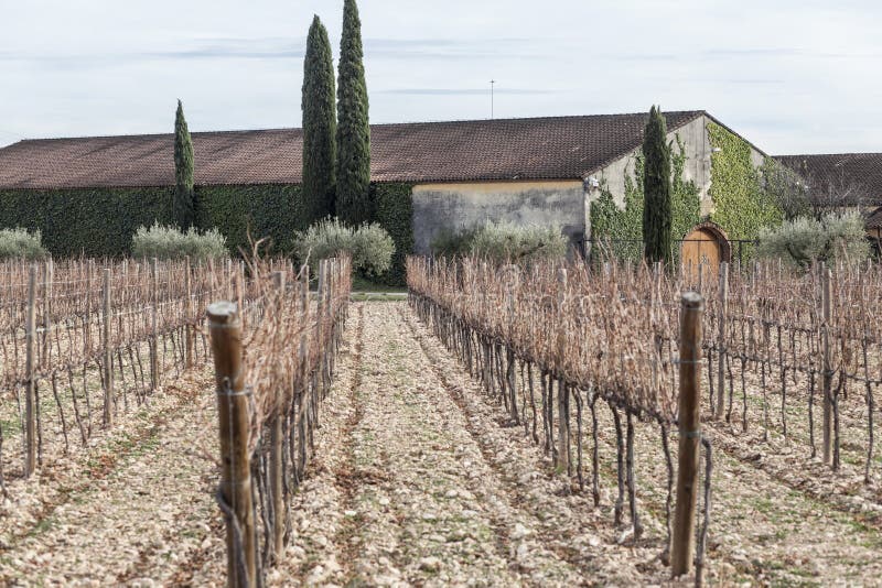 Landscape In Penedes Wine Area, Catalonia, Spain. Stock Photo Image