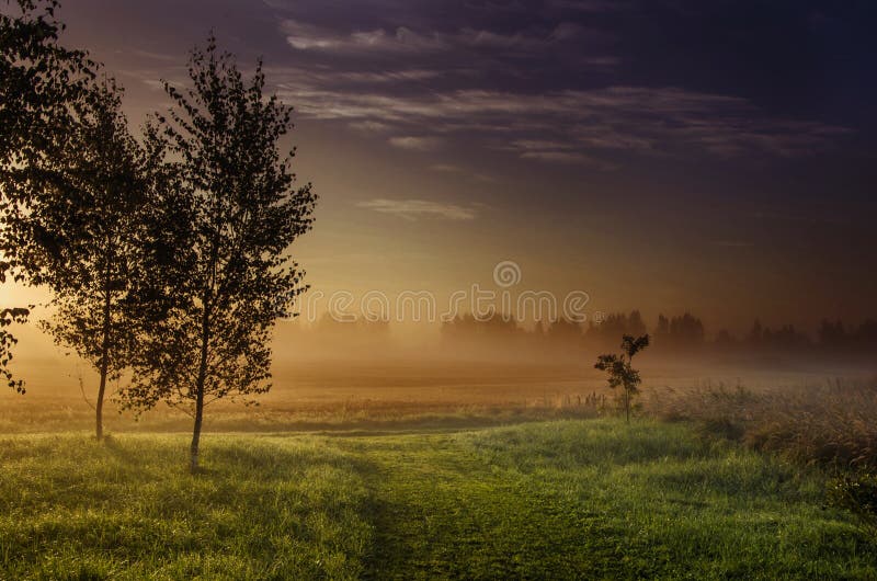 Landscape Photography Green Grass-field Beside Dark Foggy Forest during Golden Hour royalty free stock photography Landscape Photography Green Grass-field Beside Dark Foggy Forest during Golden Hour royalty free stock photography