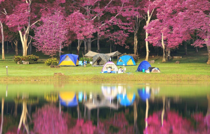 Pink Garden Wall stock image. Image of stucco, architecture 95709