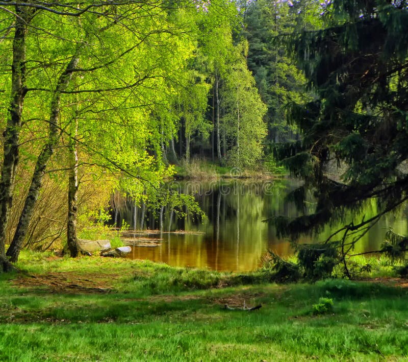 Landscape with pond