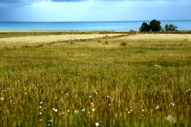 Landscape of Qinghai Lake