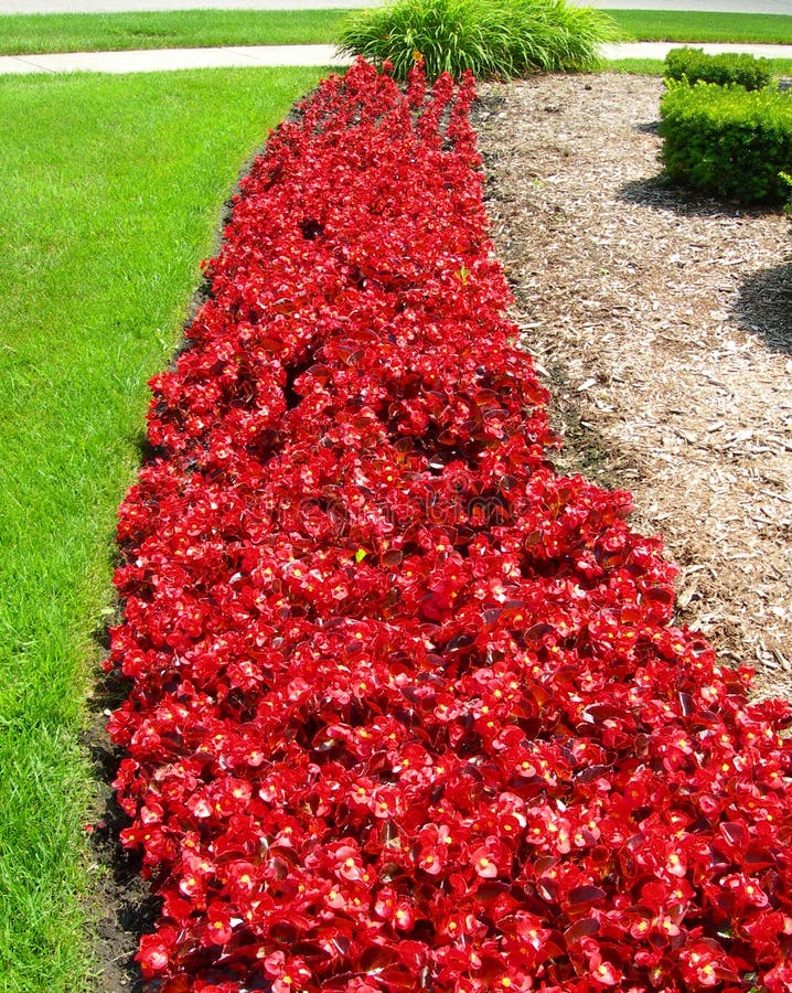 Landscape With Red Flower Beds In Spring Stock Photo Image 30634366
