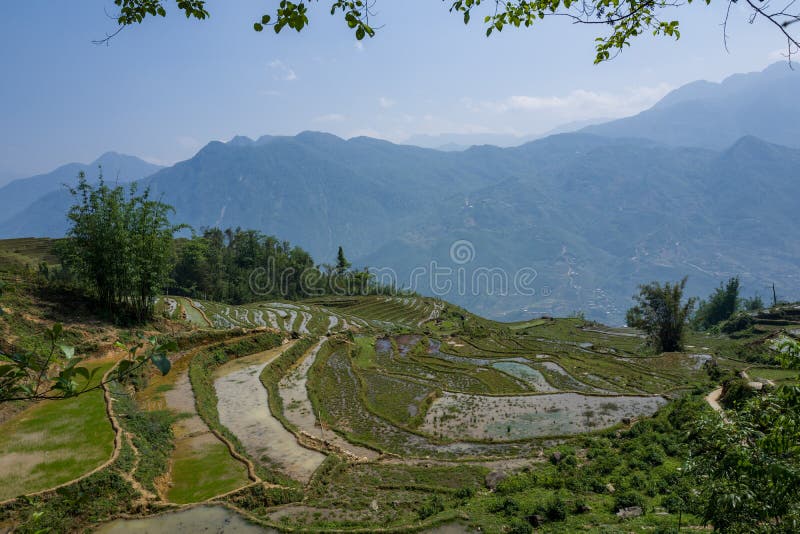 Landscape and rice terraces near Sapa, Vietnam. royalty free stock photos Landscape and rice terraces near Sapa, Vietnam. royalty free stock photos