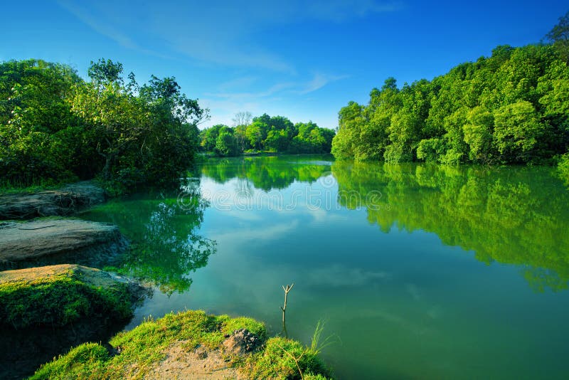 Landscape of river stock photo. Image of water, landscape - 27334880