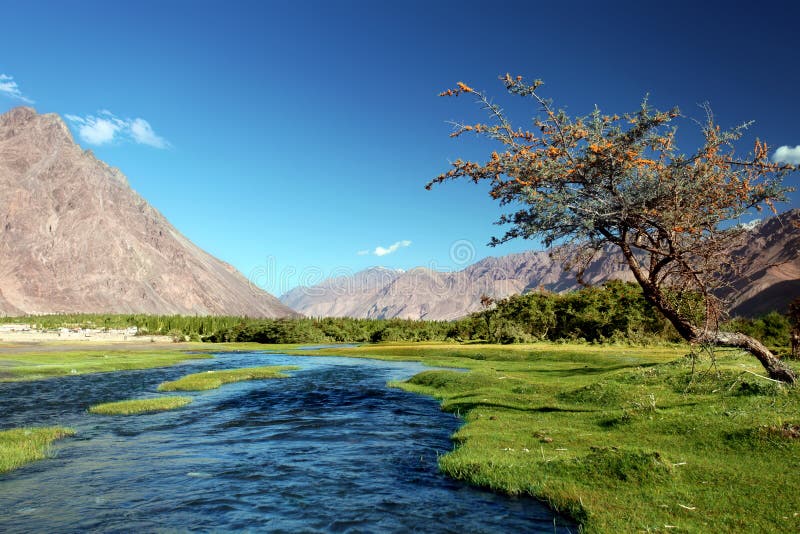 191 Nubra River Stock Photos, High-Res Pictures, and Images - Getty Images