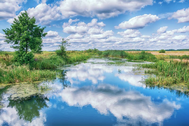 Landscape with river, trees and clouds in the sky. royalty free stock photo Landscape with river, trees and clouds in the sky. royalty free stock photo