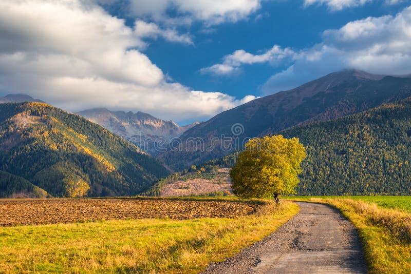 Landscape with a road leading to the mountains