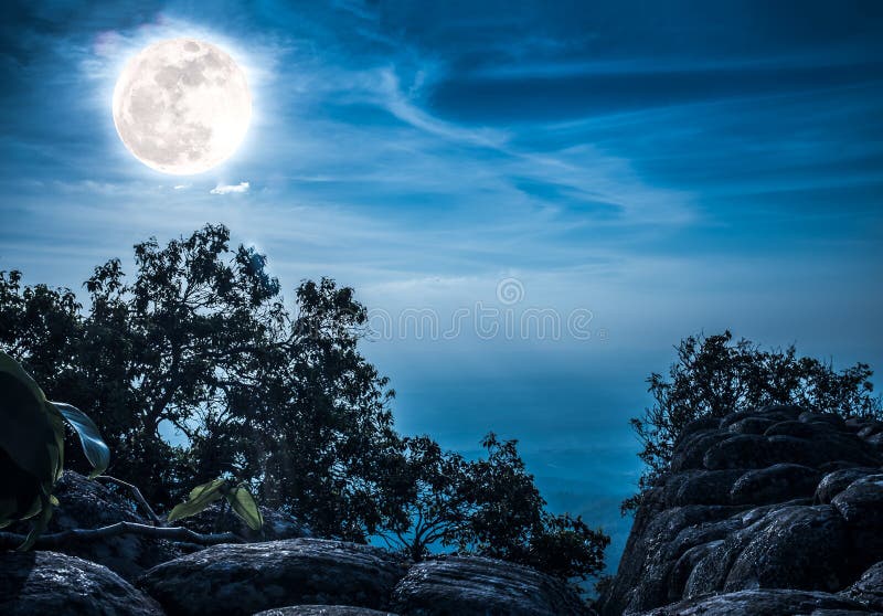 Landscape of rock against blue sky and full moon above wilderness area in forest.