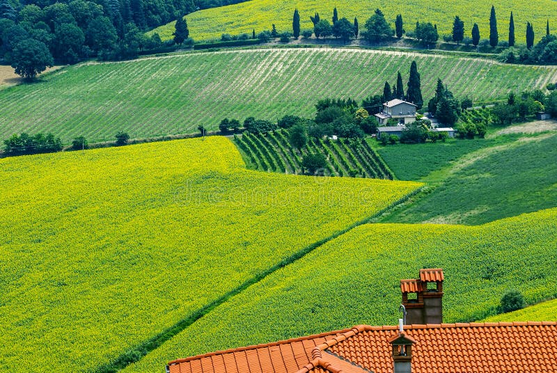 Landscape in Romagna at summer