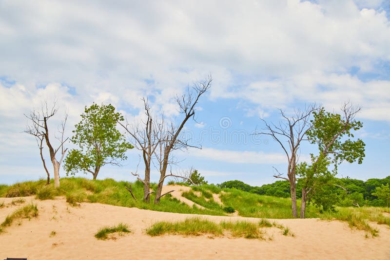 Michigan Sand Dunes Detail Covered in Winter Snow Stock Image - Image ...