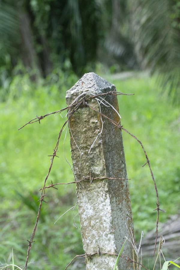 Weathered concrete square pole at the field royalty free stock image