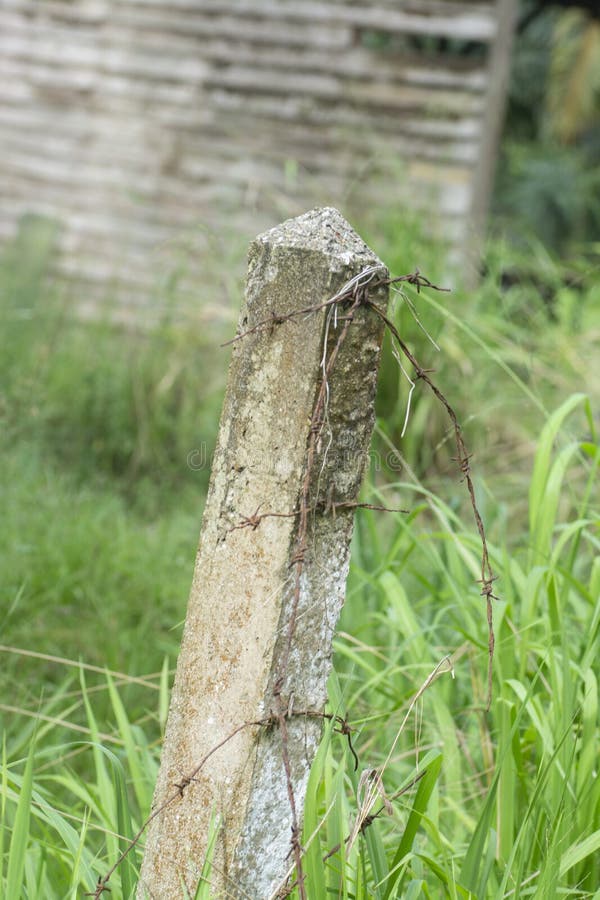 Weathered concrete square pole at the field stock image