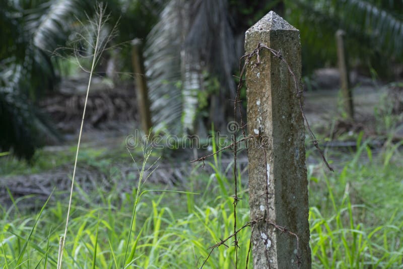 Weathered concrete square pole at the field stock photos