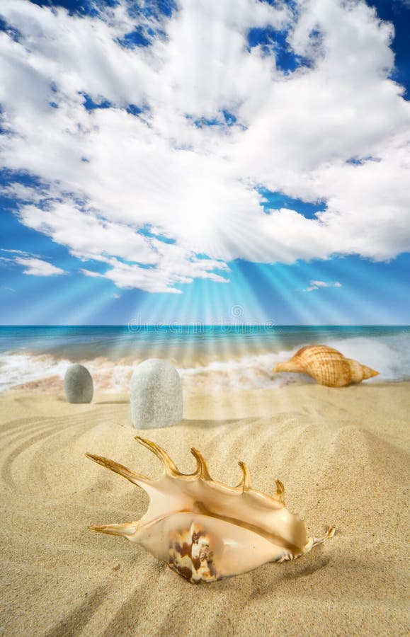 Landscape with seashell and stones on background