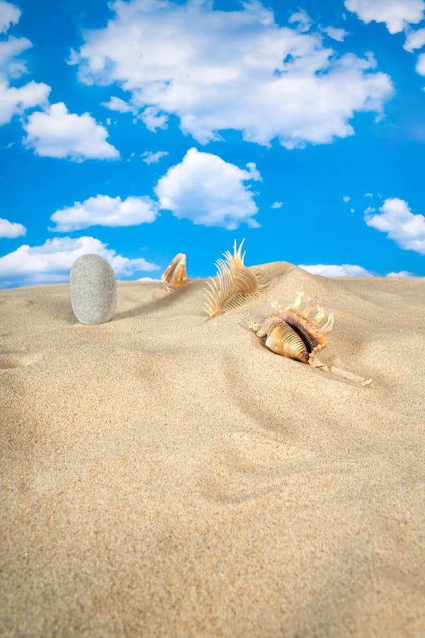 Landscape with seashell and stones on sky