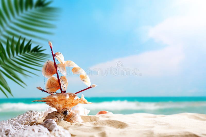 Starfish And Seashell On The Summer Beach In Sea Water Summer Background  Stock Photo  Download Image Now  iStock