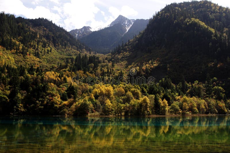 Forest And Lake Landscape Of China Jiuzhaigou Stock Image Image Of