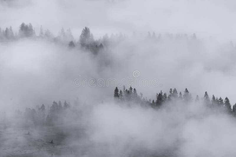 Forest And Mountains Landscape Sunny Weather With Fog And River Stock Image Image Of Forest Environment