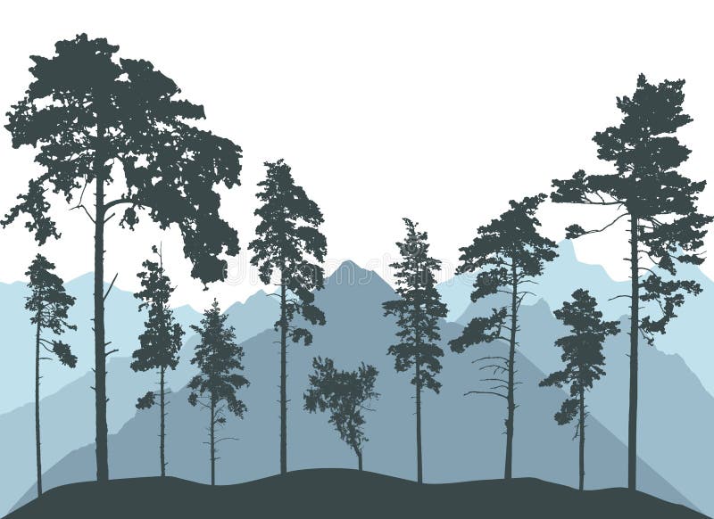 Landscape, Silhouettes of Pine Trees and Mountains. Vector Illustration