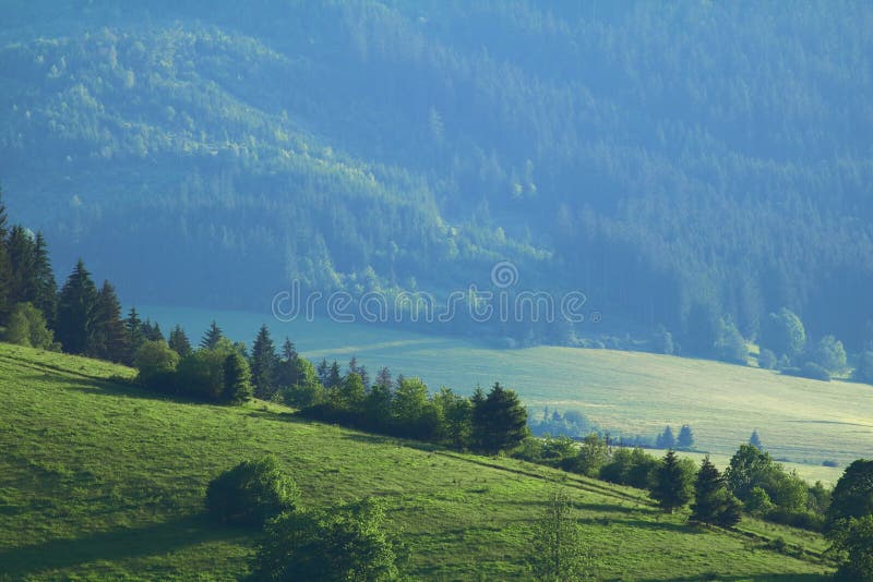 Landscape in the Slovak Republic meadows and forests