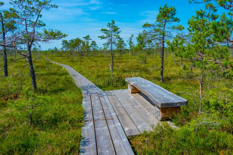 Landscape of Soomaa National Park in Estonia Stock Photo Image of