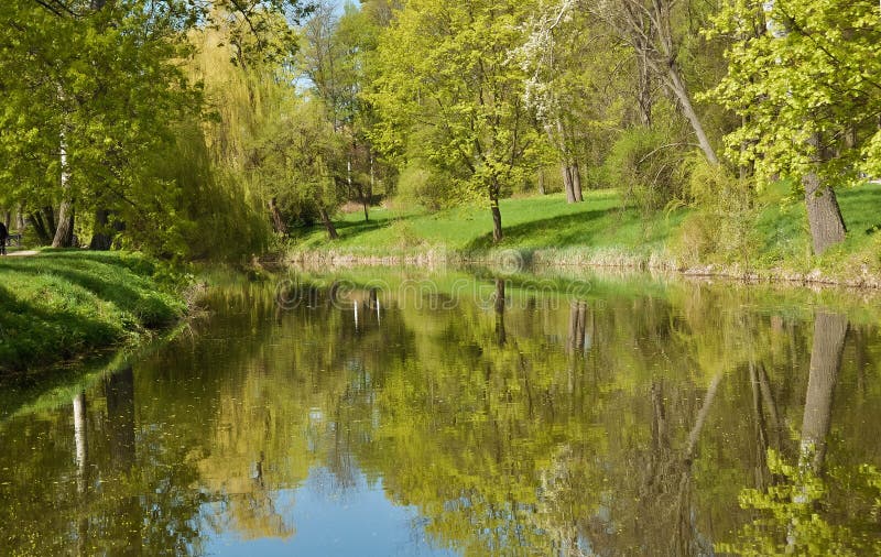 Landscape Spring Lake, Trees, Grass Stock Photo Image of bush, park
