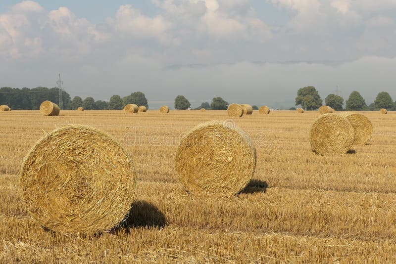 Landscape with straw bales after a hay harvest in summer in a field