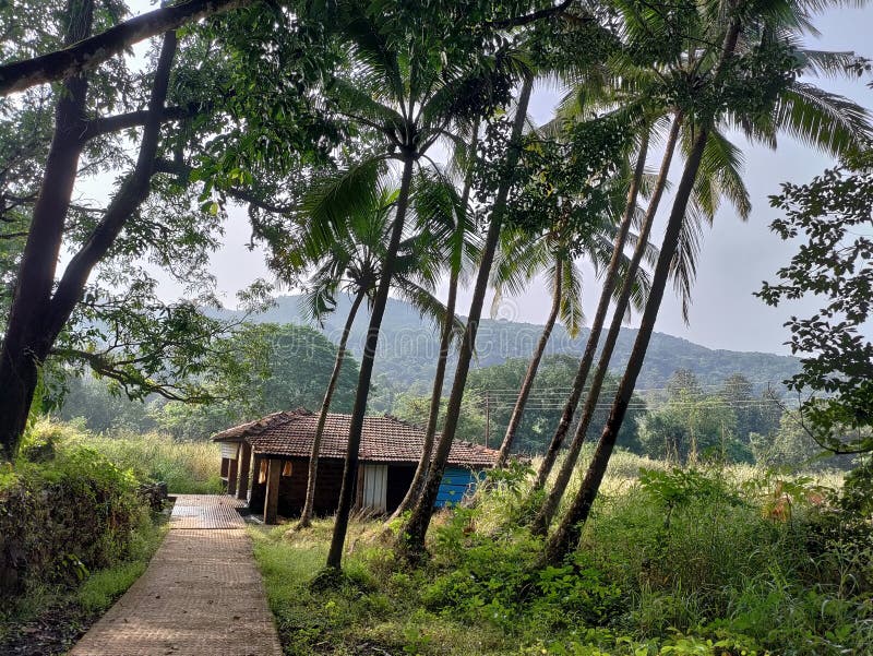 Landscape of Traditional Indian and Maharashtrian Village with Houses in  Background and Coconut Trees in Foreground, Konkan House, Stock Image -  Image of architecture, culture: 234683085