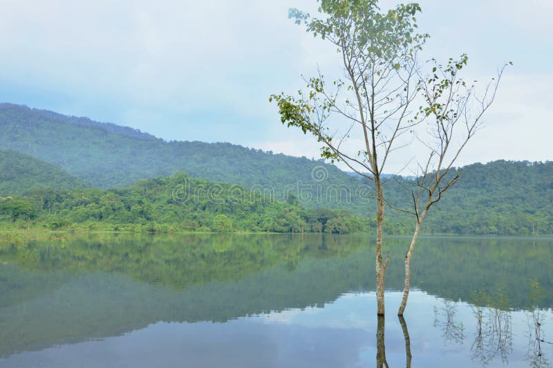 Landscape Of Tree And Reflection On Water Surface In Lake With Mountain