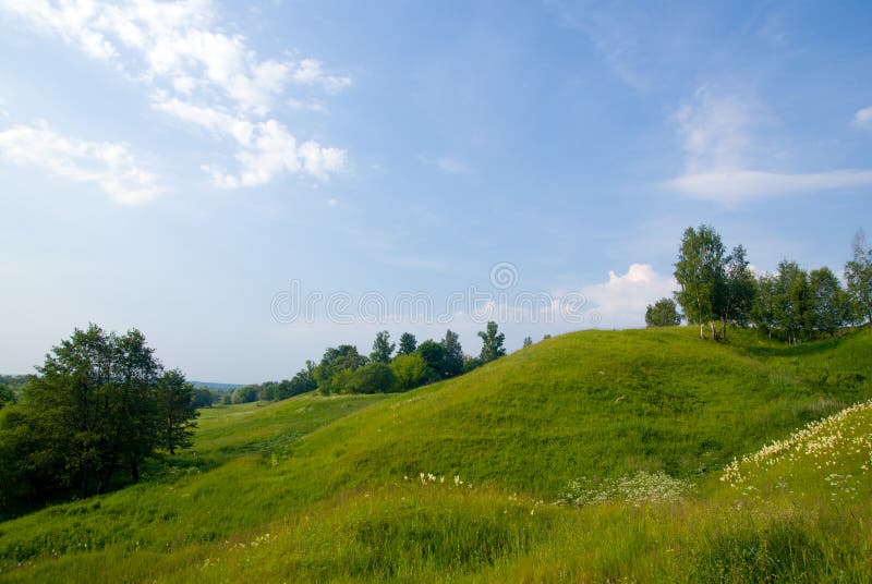 Landscape with trees grass and blue sky 2