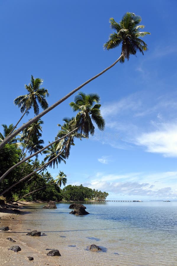 Landscape of a Tropical Beach in Savusavu Peninsula in Vanua Levu ...