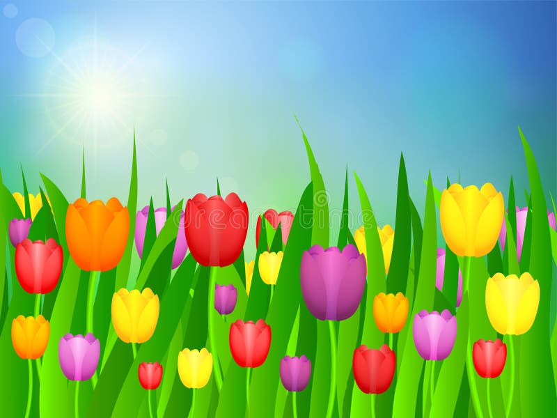 Spring flowers and sky stock illustration. Illustration of greeting ...