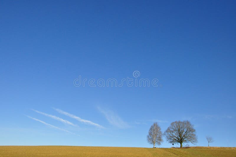 Landscape with two single tree